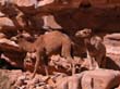 jordania063