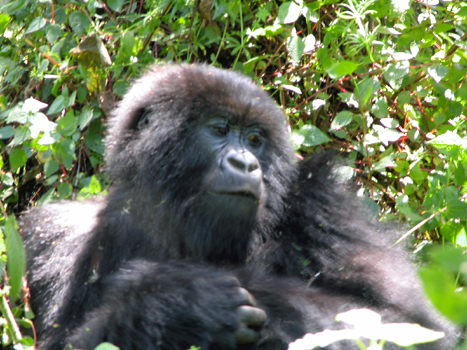 rwanda32