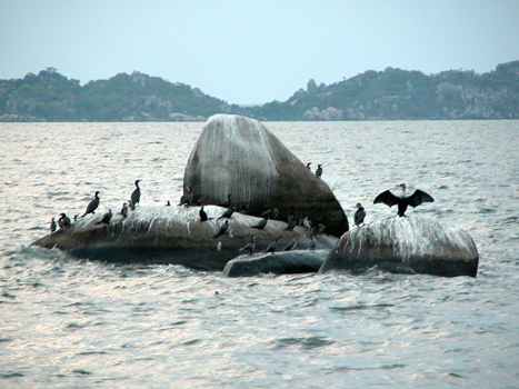 9tanDodo09
