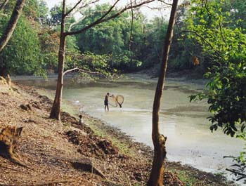 Camb09_9