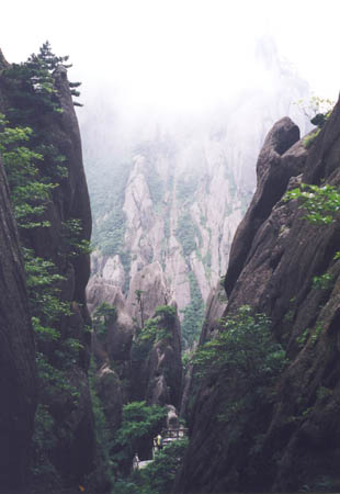 Chi19_11