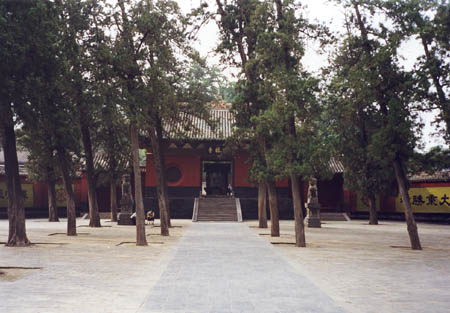 Chi21_1