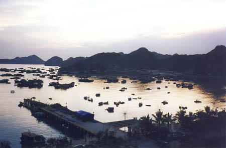 Viet13_28