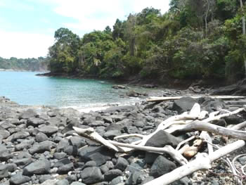 P1000393