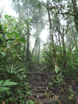 P1000421