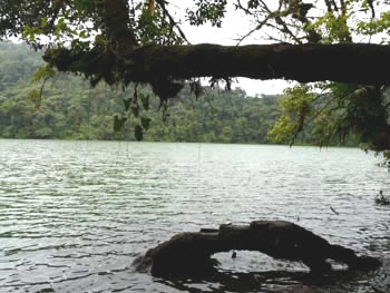P1000425