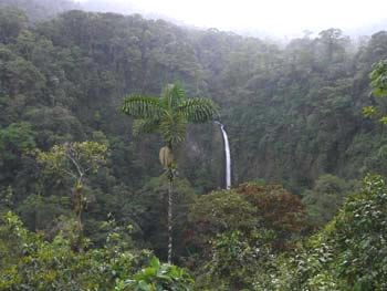 P1000439