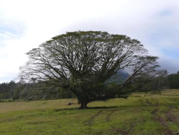 P1000503