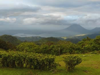 P1000521