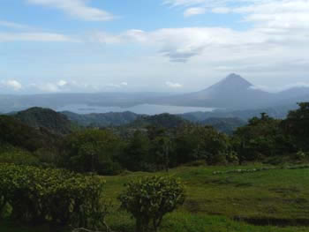 P1000550