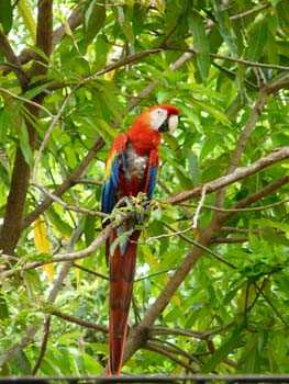 P1000576