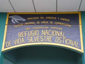P1000599